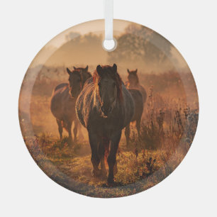 Wilde Pferde: Begegnung mit einem intensiven Blick Ornament Aus Glas