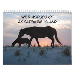 Wilde Pferde der Assateague Island Calendar Kalender