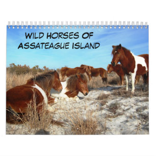 Wilde Pferde der Assateague Island Calendar Kalender