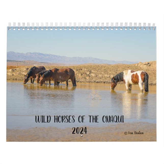 Wilde Pferde der Onaqui - Kalender 2024 (Titelbild)