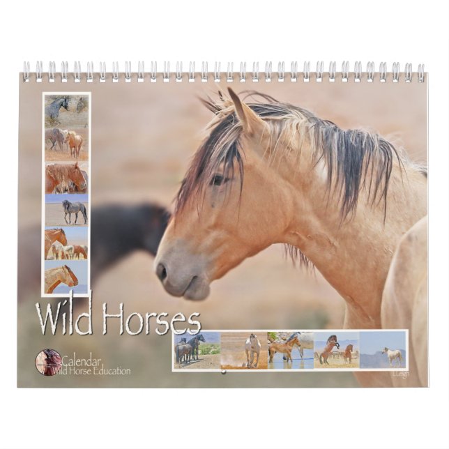 Wilde Pferde (ein Kalender) Kalender (Titelbild)