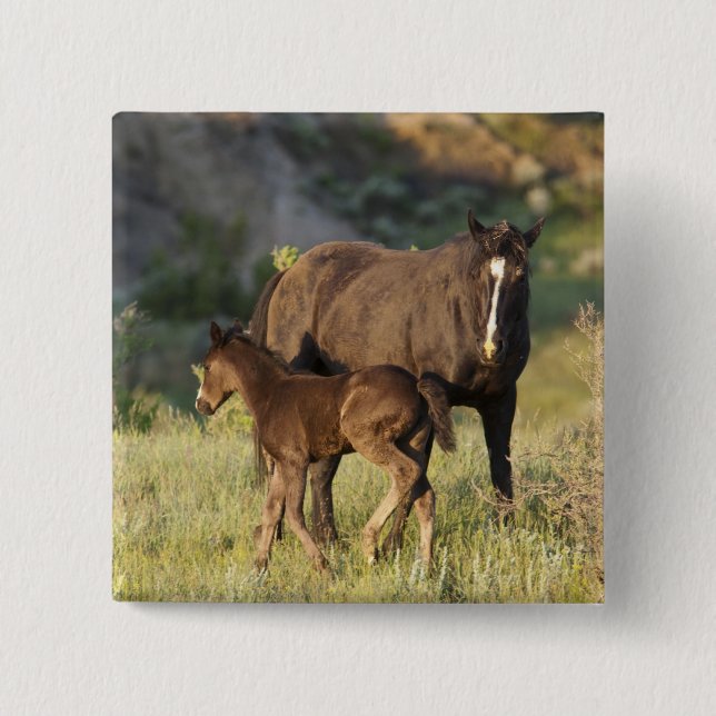 Wilde Pferde im Nationalpark Theodore Roosevelt Button (Vorderseite)