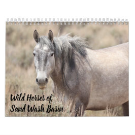 Wilde Pferde im Sandwaschbecken Kalender