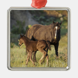 Wilde Pferde im Theodore-Roosevelt-Nationalpark Ornament Aus Metall