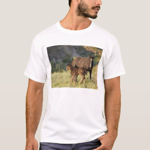 Wilde Pferde im Theodore-Roosevelt-Nationalpark T-Shirt