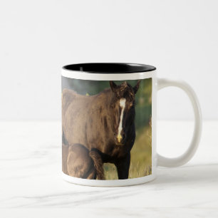 Wilde Pferde im Theodore-Roosevelt-Nationalpark Zweifarbige Tasse