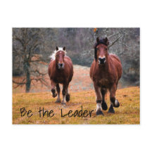 Wilde Pferde im Wald