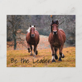Wilde Pferde im Wald Postkarte