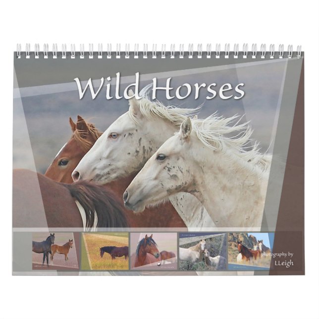 Wilde Pferde im Westen Kalender (Titelbild)