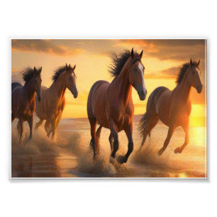 Wilde Pferde in Sunset Splendor Fotodruck