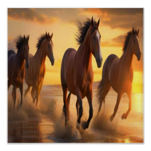 Wilde Pferde in Sunset Splendor Poster