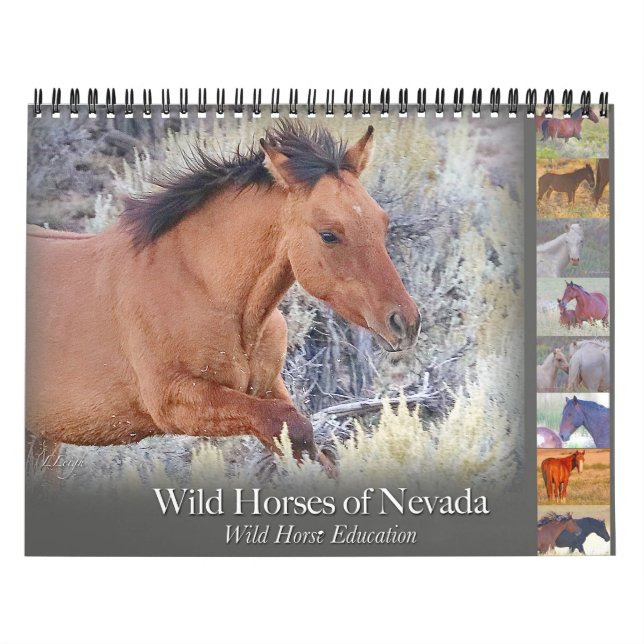 Wilde Pferde, Kalender (Titelbild)
