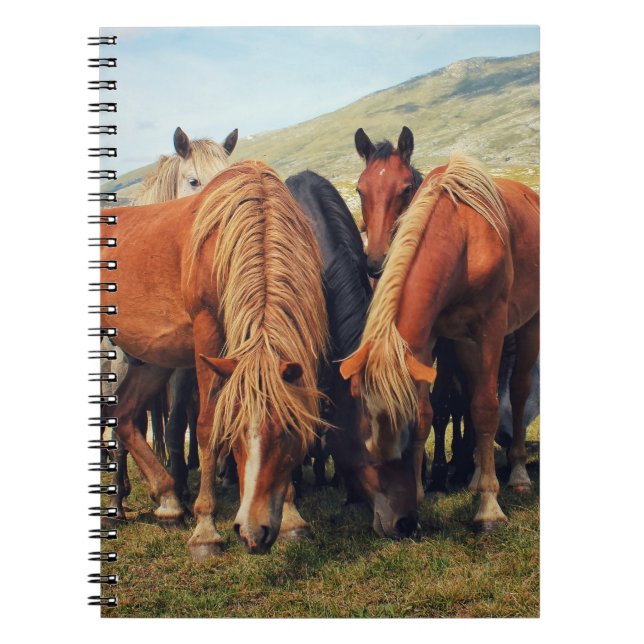 Wilde Pferde Livno Naturlandschaft Notizblock (Vorderseite)