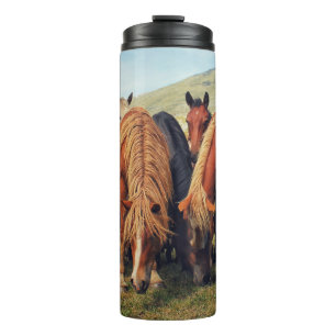 Wilde Pferde Livno Naturlandschaft Thermosbecher