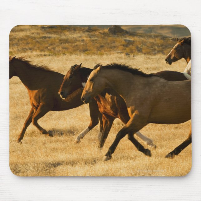 Wilde Pferde Mousepad (Vorne)