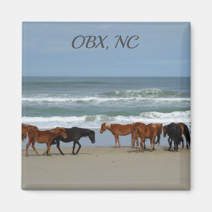 Wilde Pferde OBX NC Magnet