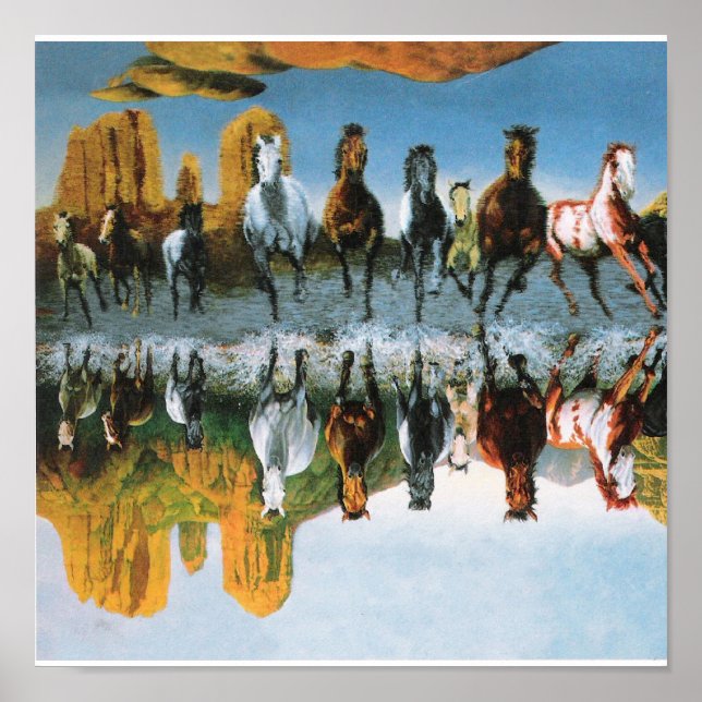 Wilde Pferde Poster (Vorne)