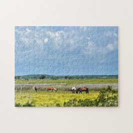 Wilde Pferde von Assateague