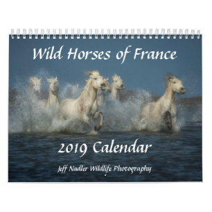Wilde Pferde von Frankreich - 2019 Wandkalender