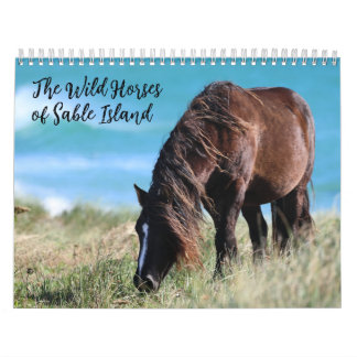 Wilde Pferde von Sable Island Kalender