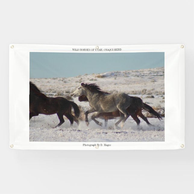 WILDE PFERDE VON UTAH, ONAQUI HERDE Fahne mit Banner (Horizontal)