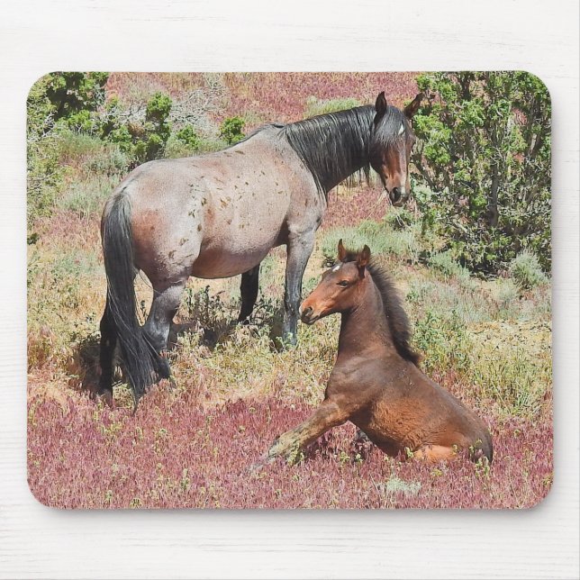 Wilde Pferde, Wildtiere, Mauspad (Vorne)