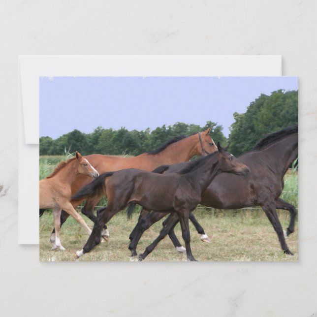 Wilde Pferdeeinladung Einladung (Vorderseite)