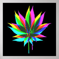 Wilde Pflanze - Neonfarben + Ihre Ideen