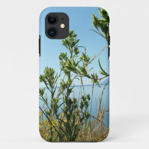 Wilde Pflanzen und Blumen am Seeufer title_seo2