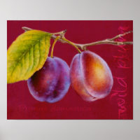 Wilde Pflaume - Prunus domestica-Poster (reich rot