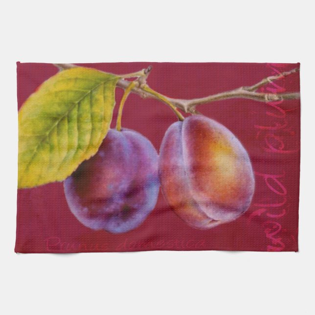 Wilde Pflaume - Prunus domestica, rotes Küchentuch (Horizontal)