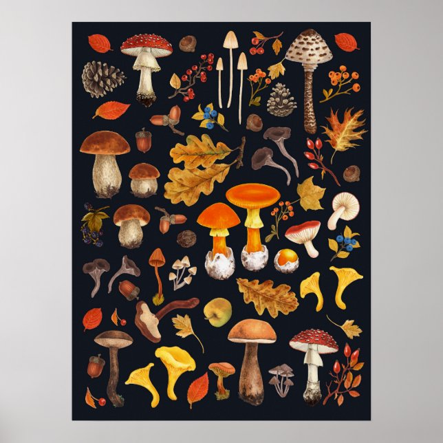 Wilde Pilze auf schwarz Poster (Vorne)