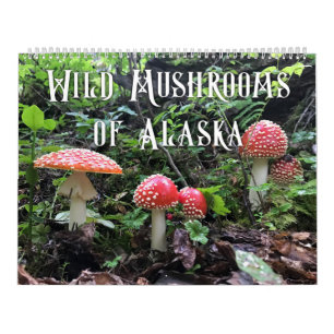 Wilde Pilze aus Alaska - großer Kalender