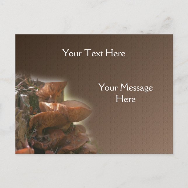 Wilde Pilze - Natur Postkarte (Vorderseite)