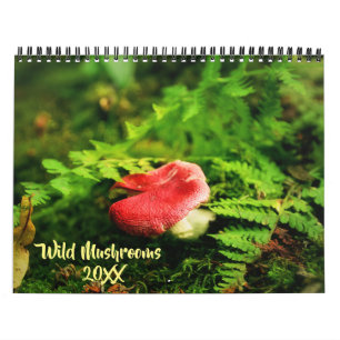 Wilde Pilze und Naturfotografie Kalender