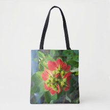 Wilde Poinsettia auf einer voll bedruckten Totbeut