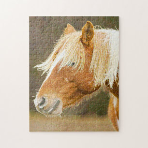Wilde Ponys West Virginia.