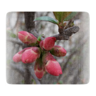 wilde Quitte blühend Schneidebrett