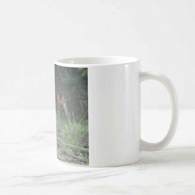 Wilde Rabbits Eastern Cottontail Pair Apparel Gesc Kaffeetasse (Rechts)