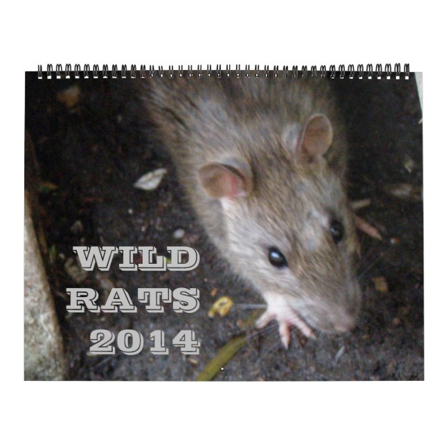 Wilde Ratten - Kalender 2014 (Titelbild)