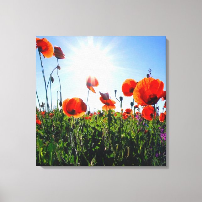 Wilde Red Poppies-Blume Leinwanddruck (Vorderseite)