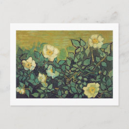 Wilde Rose,1890. Vincent van Gogh. Postkarte