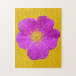 Wilde Rose 2