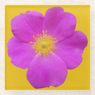 Wilde Rose 2 Glasuntersetzer