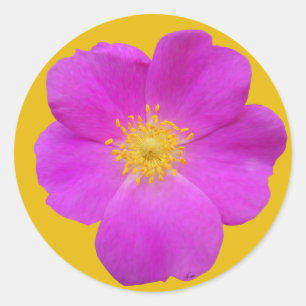 Wilde Rose 2 Runder Aufkleber