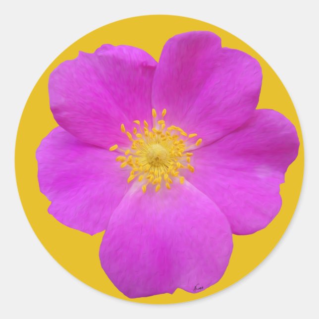 Wilde Rose 2 Runder Aufkleber (Vorderseite)