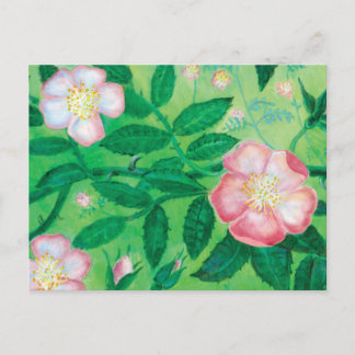 Wilde Rose Blume Feiertagspostkarte