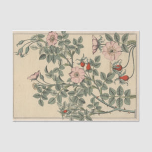 Wilde Rose, Botanik-Serie von Eugene Grasset Seidenpapier
