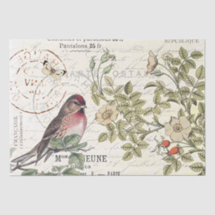 Wilde Rose Carte Postale Songbird Französisches Dr Seidenpapier