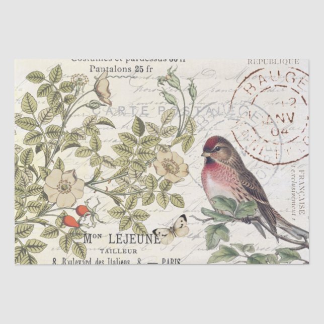 Wilde Rose Carte Postale Songbird Französisches Dr Seidenpapier (Vorderseite)